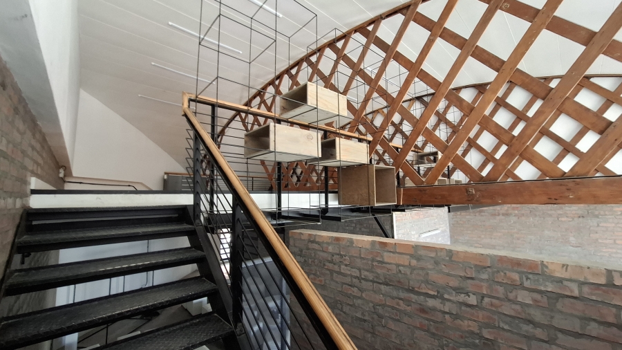 To Let commercial Property for Rent in Salt River Western Cape